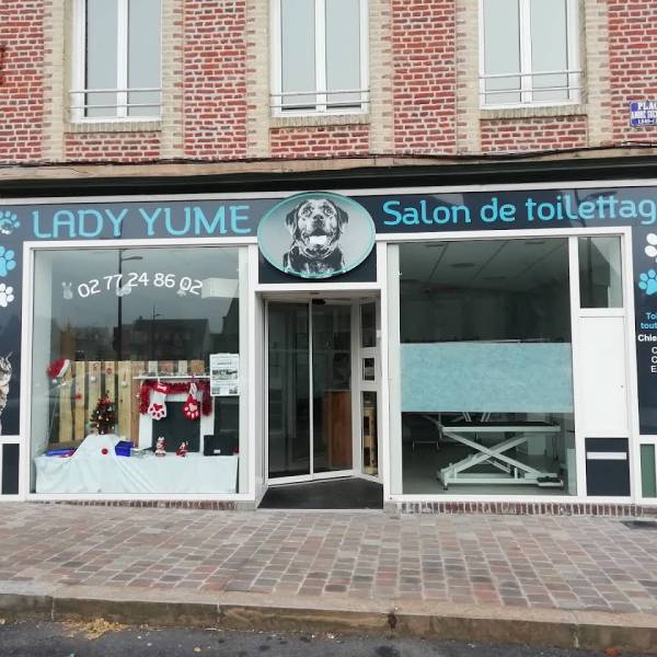 toiletteur Bréauté Lady Yumé